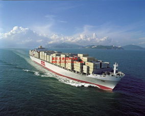 国际海运的危险品法规